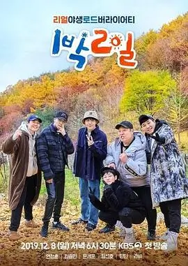 奔跑吧 综艺 2024 第12季