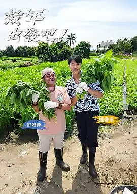 乘风破浪 综艺 2025 第6季